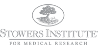 Stowers Institute for Medical Research